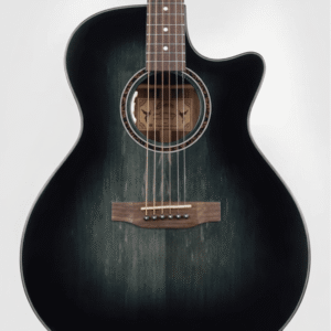 mini san pedro cactus