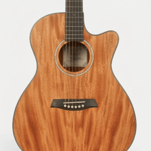 Collection mini san pedro cactus