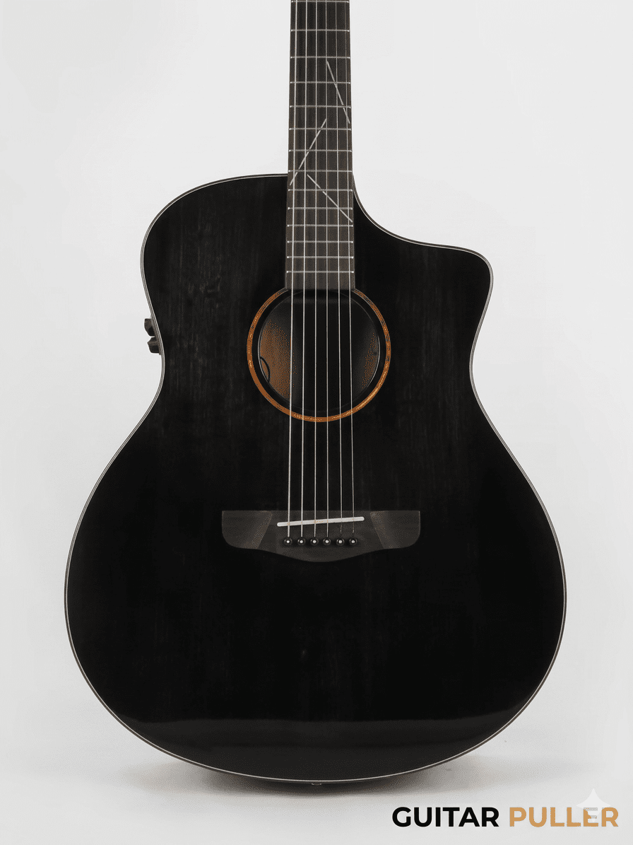 rattle snake tail rattle snake tail