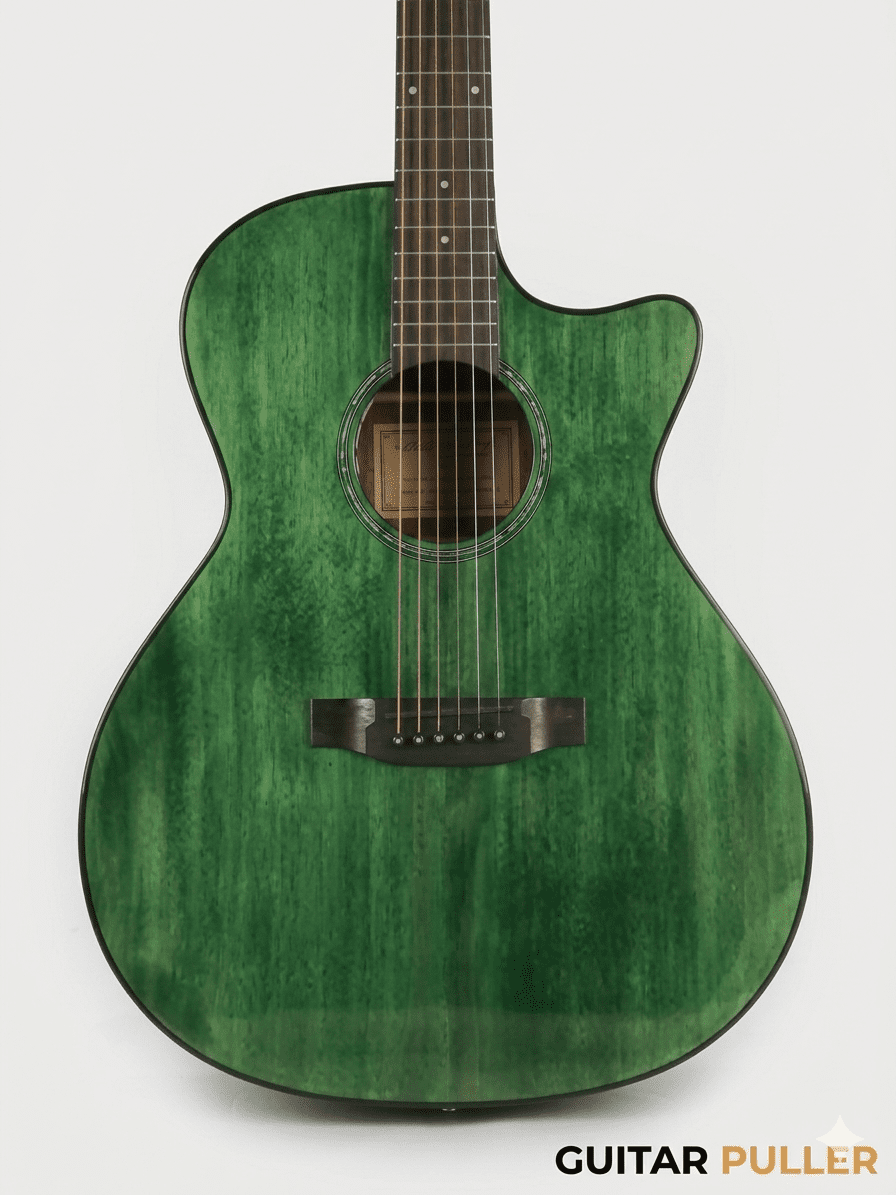 star cactus star cactus